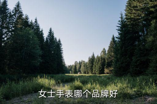 女士手表排行榜前十名价格及图片，女士手表2000-3000什么牌子好