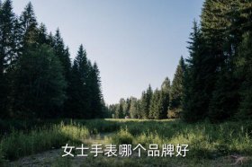 女士手表排行榜前十名价格及图片，女士手表2000-3000什么牌子好